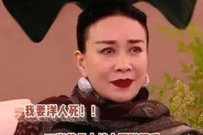 歌手2024娱乐圈吃瓜,娱乐圈风云再起，吃瓜群众狂欢盛宴