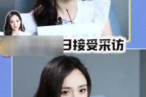 娱乐圈里的吃瓜手册,揭秘明星幕后故事与八卦风云