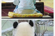 娱乐圈吃瓜群众是谁呀,揭秘那些热衷于八卦的明星粉丝群体