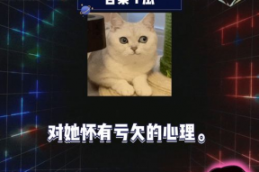 吃瓜娱乐1,揭秘娱乐圈幕后故事，带你领略明星真实生活