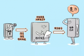 娱乐吃瓜冷知识,娱乐圈那些鲜为人知的“吃瓜”冷知识揭秘