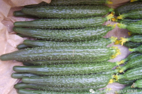 娱乐吃瓜视频背景图片,背景图片背后的故事