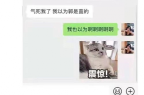 娱乐圈吃瓜年底冲业绩,吃瓜狂欢，明星业绩大揭秘！