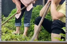 娱乐八卦是吃瓜群众,吃瓜群众带你领略八卦风云