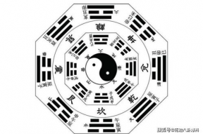 娱乐随拍吃瓜八卦图,随拍八卦图背后的故事