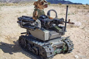 娱乐吃瓜汪星人是谁啊,网络红星的崛起之路