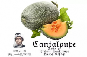 娱乐吃瓜配乐推荐一下,盘点热门配乐推荐