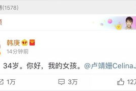 吃瓜娱乐圈 小说推荐知乎,跟随小说走进吃瓜者的世界