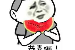 娱乐吃瓜君西北话,娱乐君带你领略方言魅力