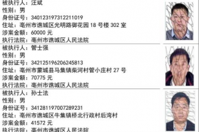 娱乐圈吃瓜小组名单公布,揭秘明星幕后故事，揭秘娱乐圈真相