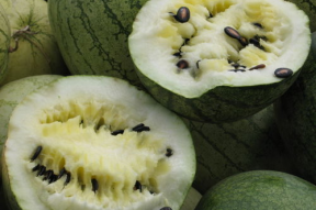 娱乐718吃瓜上不去了,揭秘吃瓜群众为何上不去的神秘面纱