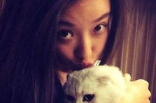 娱乐吃瓜酱虐猫小说,揭开人性阴暗面的惊悚故事