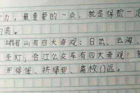 娱乐吃瓜酱小学生作文,小学生眼中的娱乐圈风云
